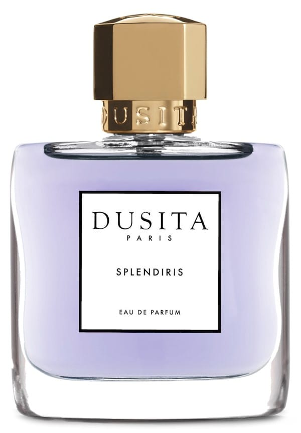 Splendiris by Dusita