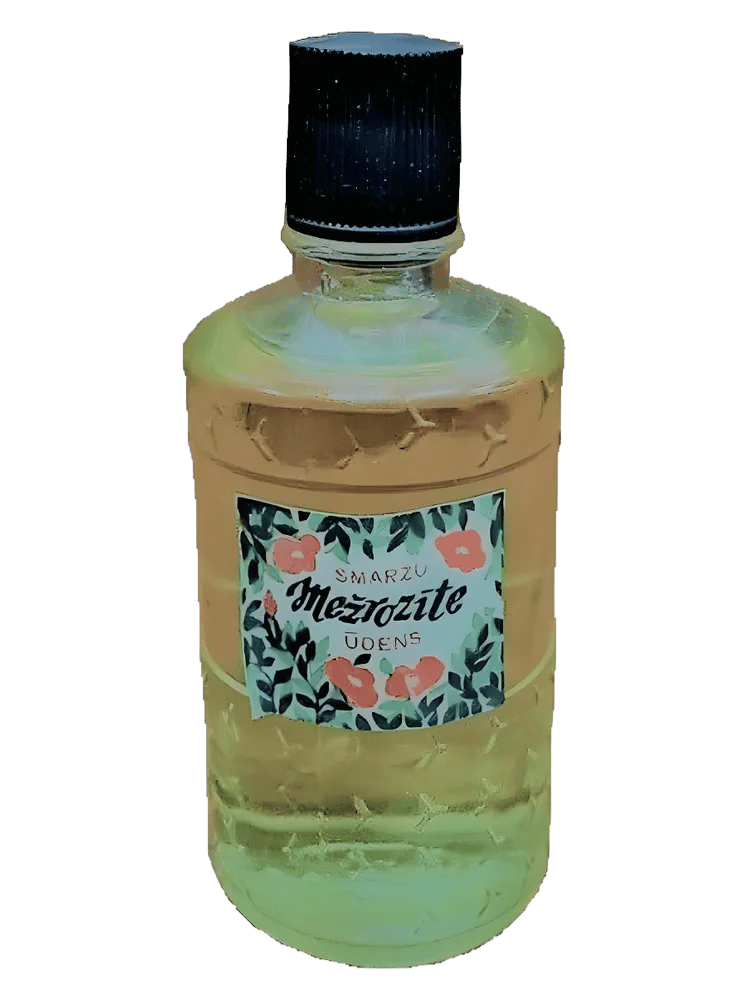 Mežrozīte (Шиповник) by Dzintars