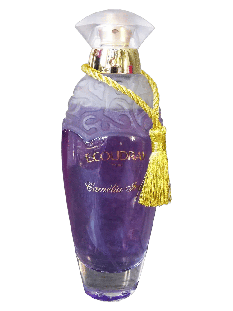 Camélia Iris by E. Coudray