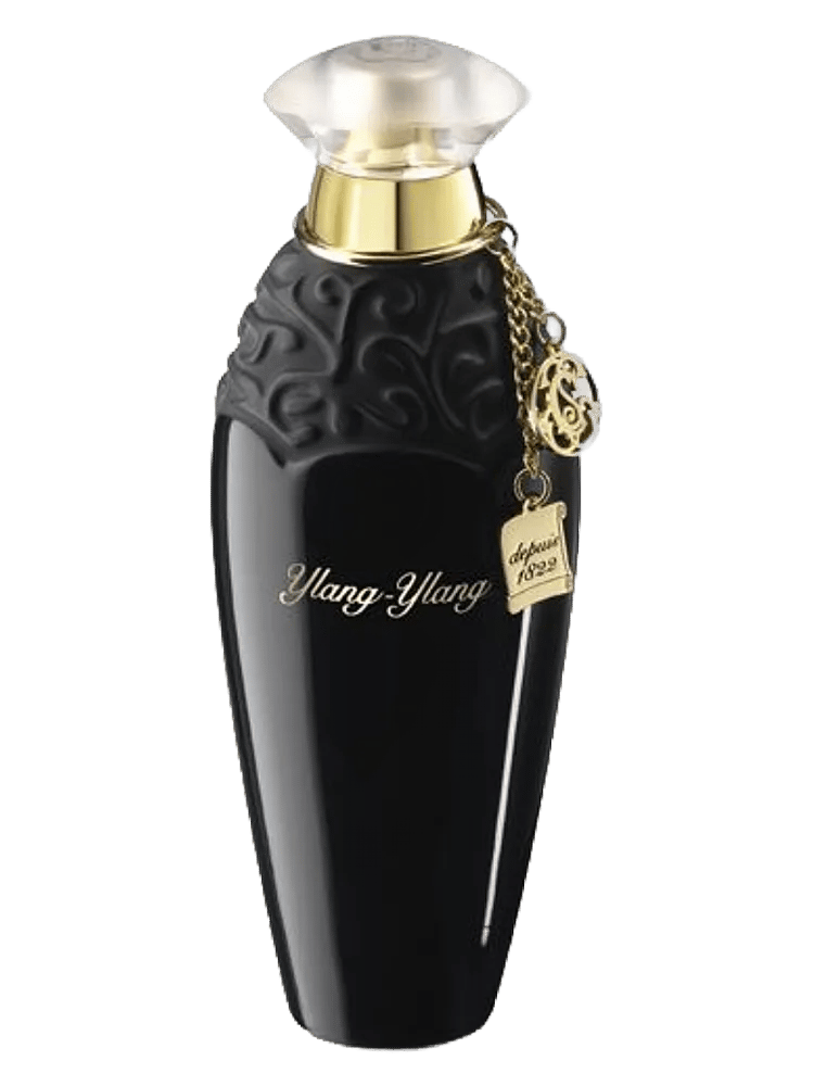 Ylang Ylang by E. Coudray