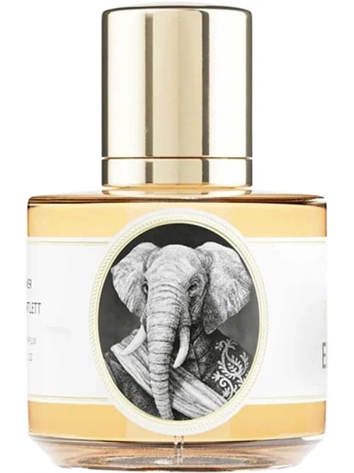 Elephant by Zoologist