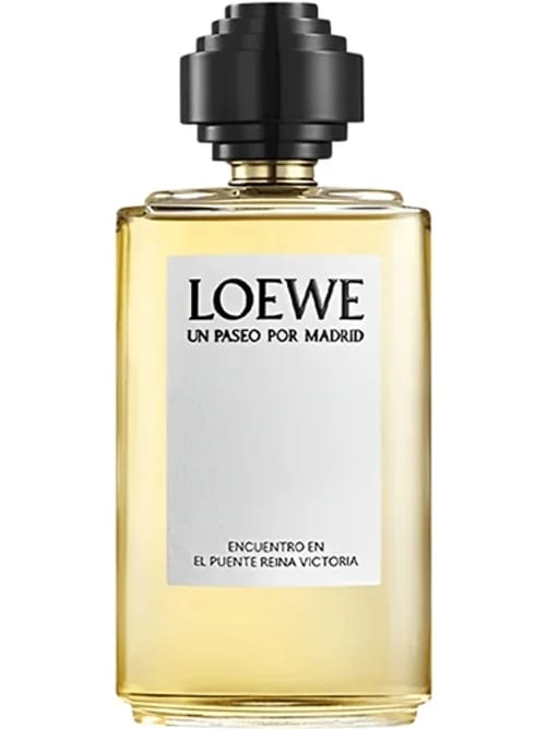 Un Paseo Por Madrid Encuentro En El Puente Reina Victoria by Loewe