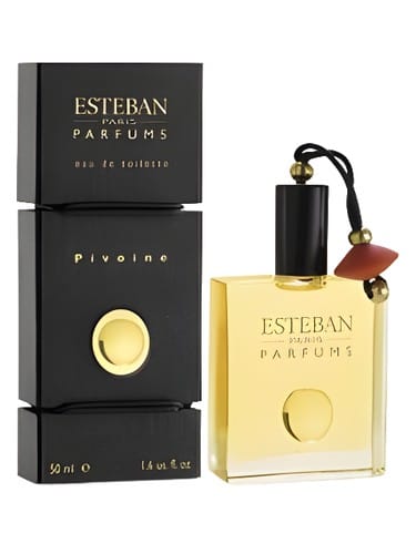Pivoine by Estéban