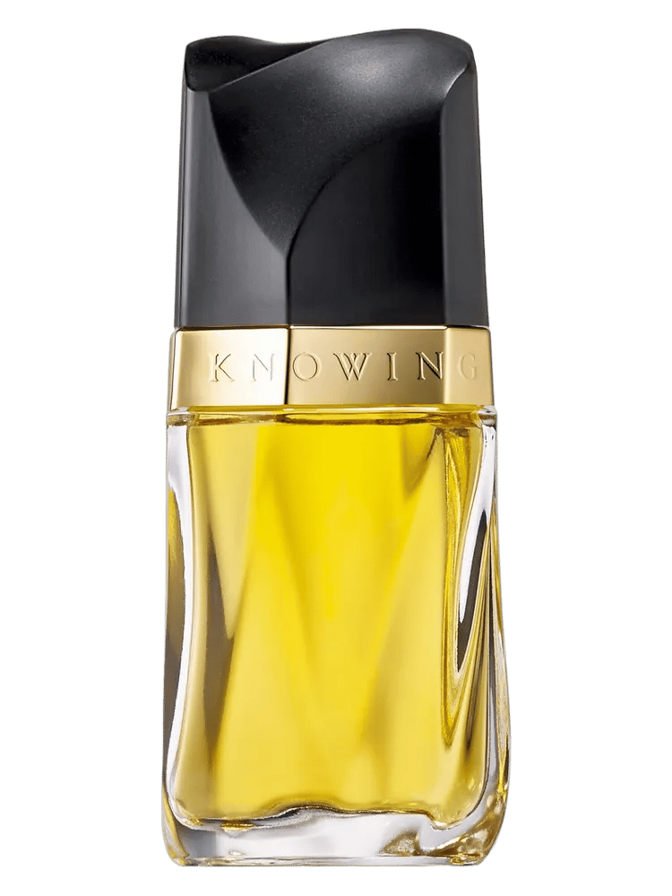 Knowing by Estée Lauder