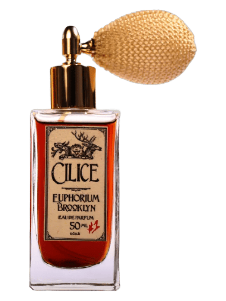 Cilice by Euphorium Brooklyn
