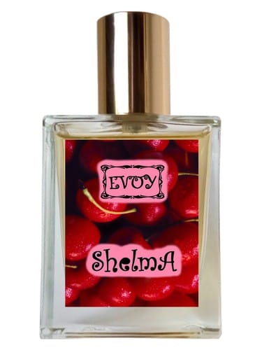 SHELMA by EVOY