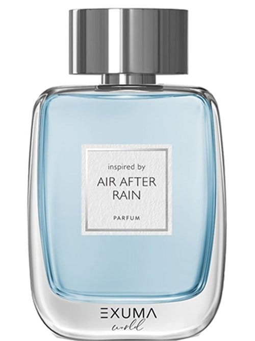 Air After Rain by Exuma