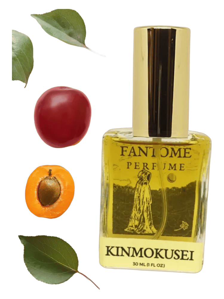 Kinmokusei by Fantôme