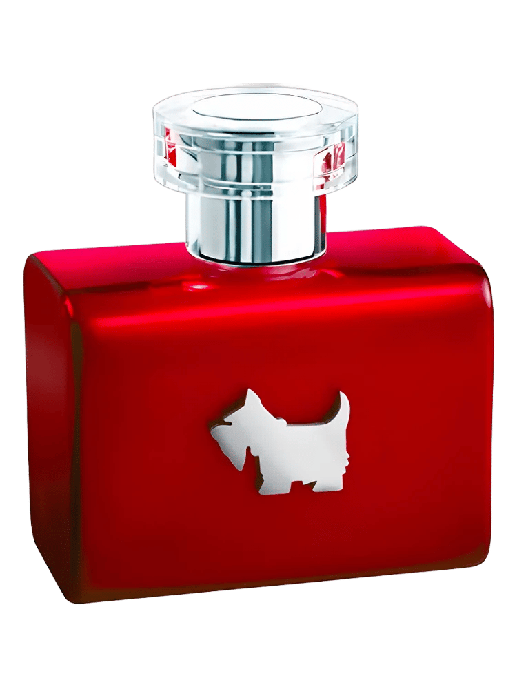 Terrier Red by Ferrioni