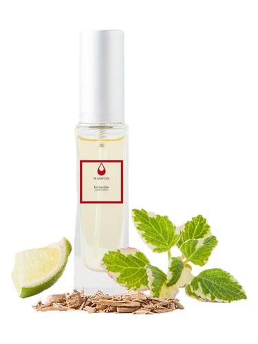 Invincible by Fl Parfums