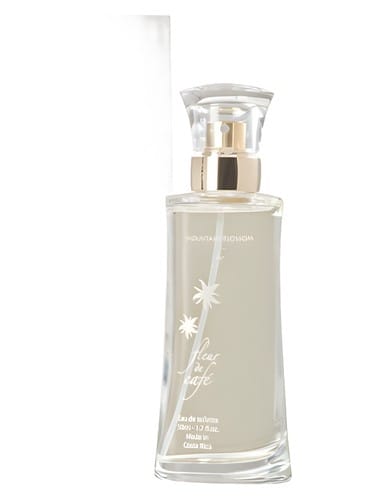 Mountain Blossom by Fleur de Cafe