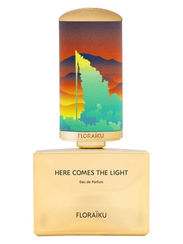 Here Comes the Light by Floraïku