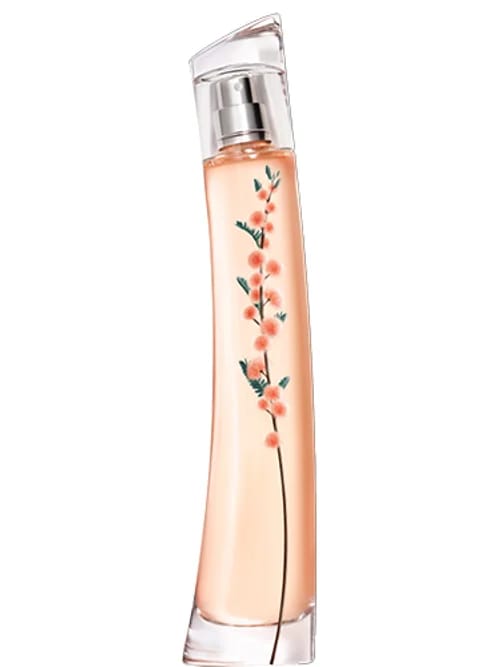 Flower By Ikebana Mimosa by Kenzo