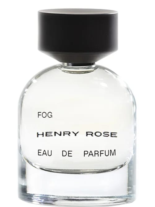 Fog by Henry Rose