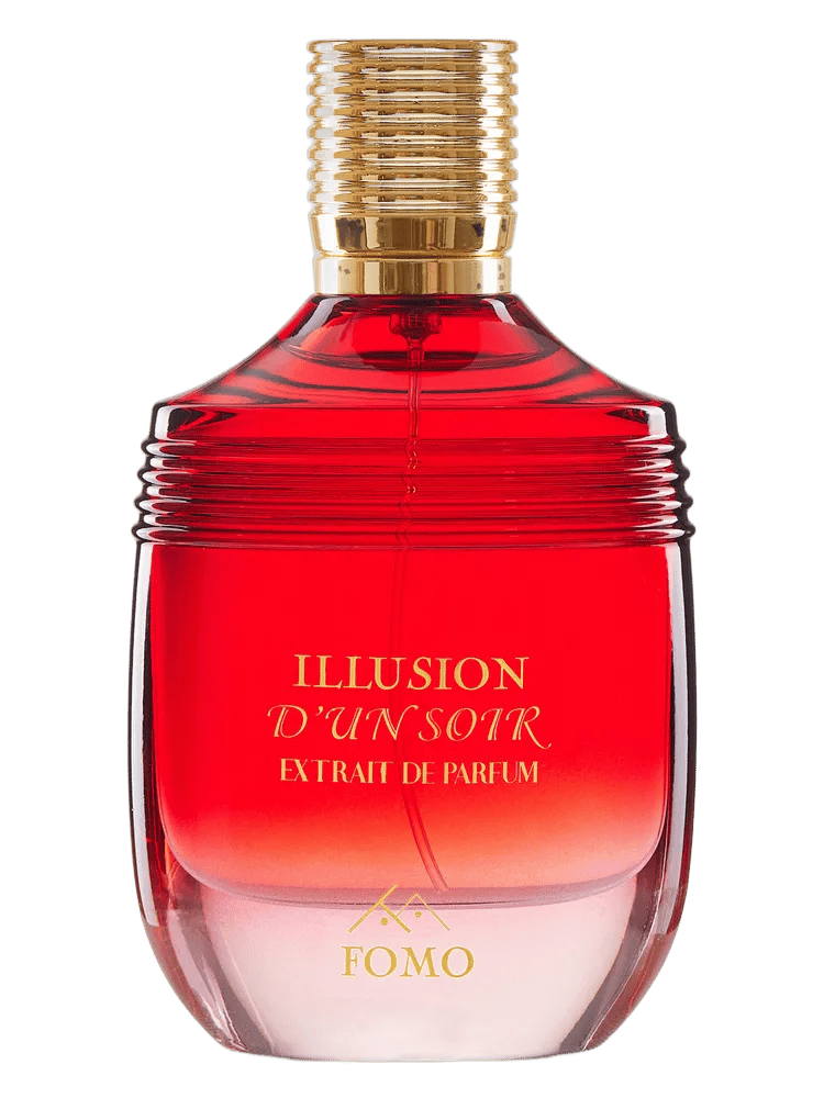 Illusion D'un Soir by FOMO
