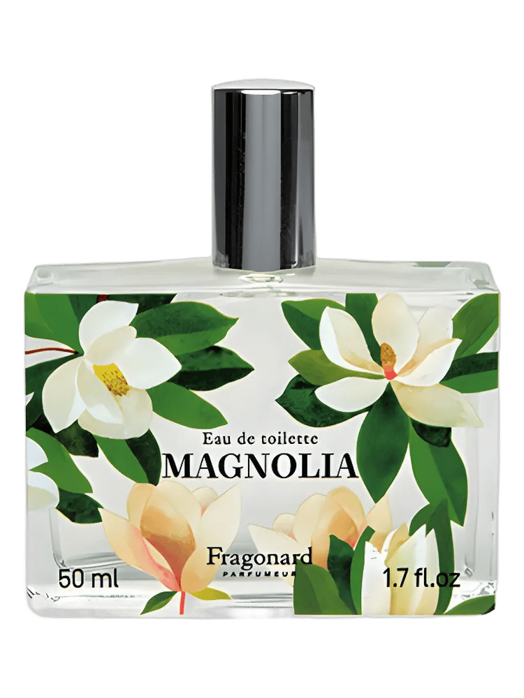 Magnolia by Fragonard