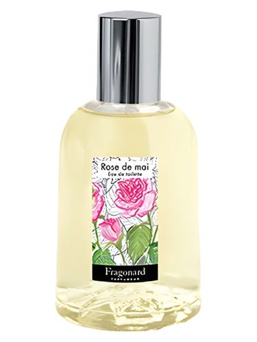 Rose De Mai by Fragonard