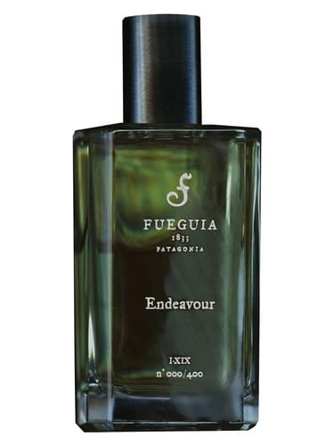 Endeavour by Fueguia 1833