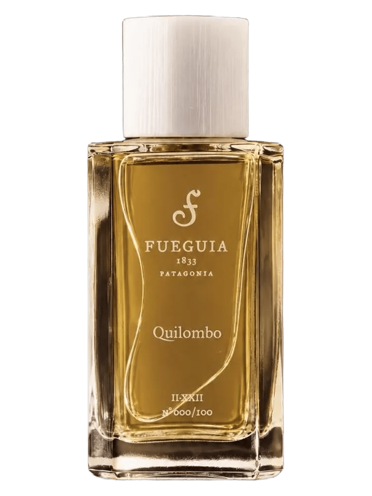 Quilombo by Fueguia 1833