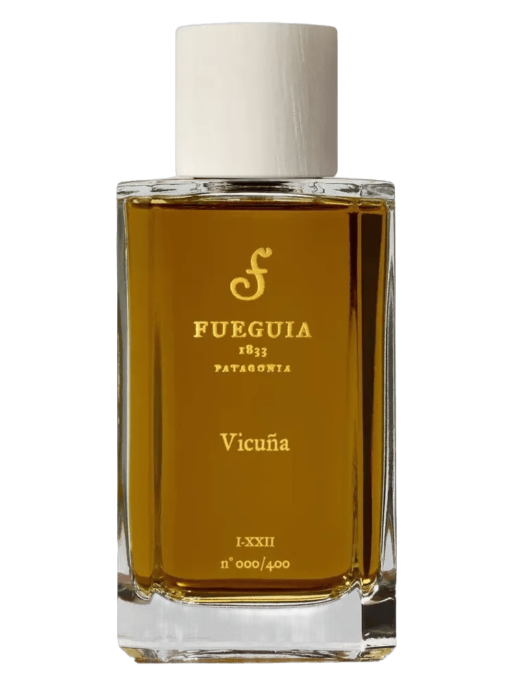 Vicuña by Fueguia 1833
