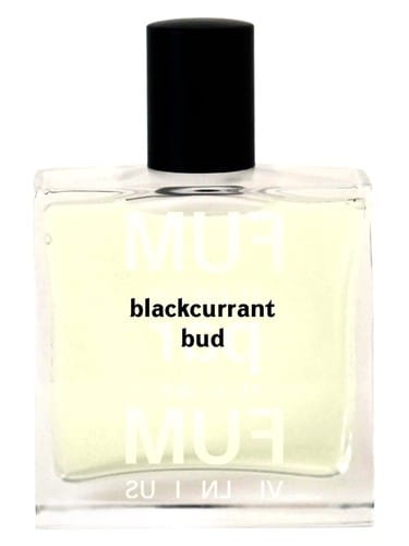 Blackcurrant Bud by Fumparfum