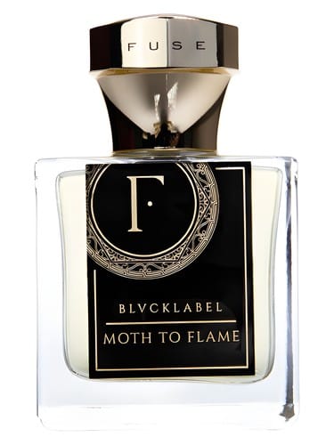 Moth To Flame by Fuse