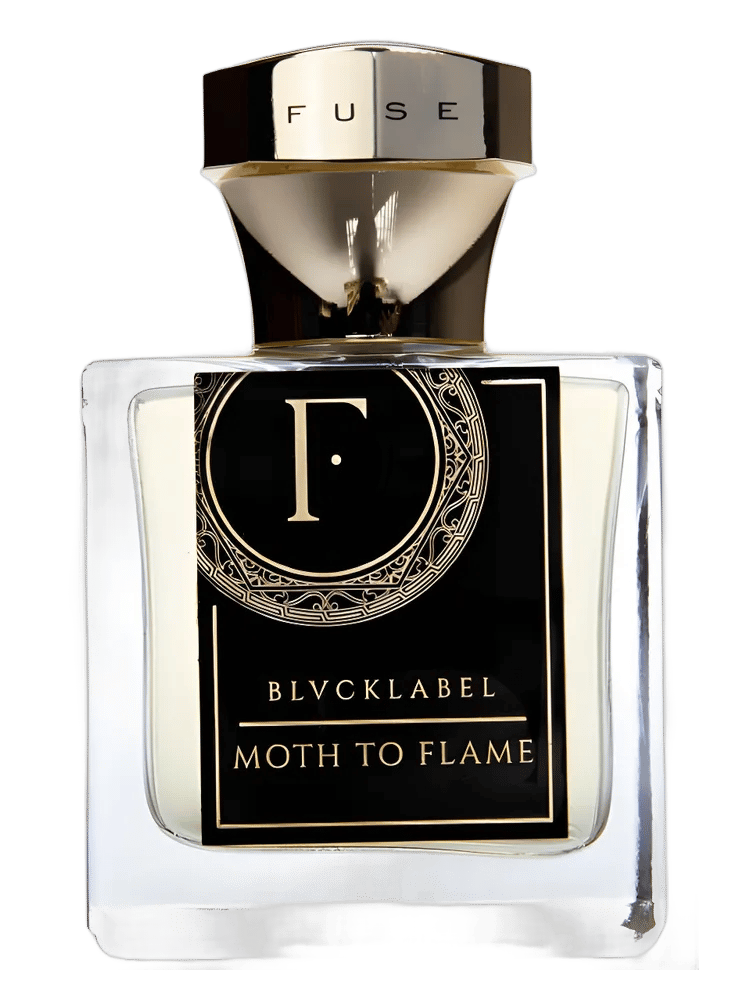Moth To Flame by Fuse