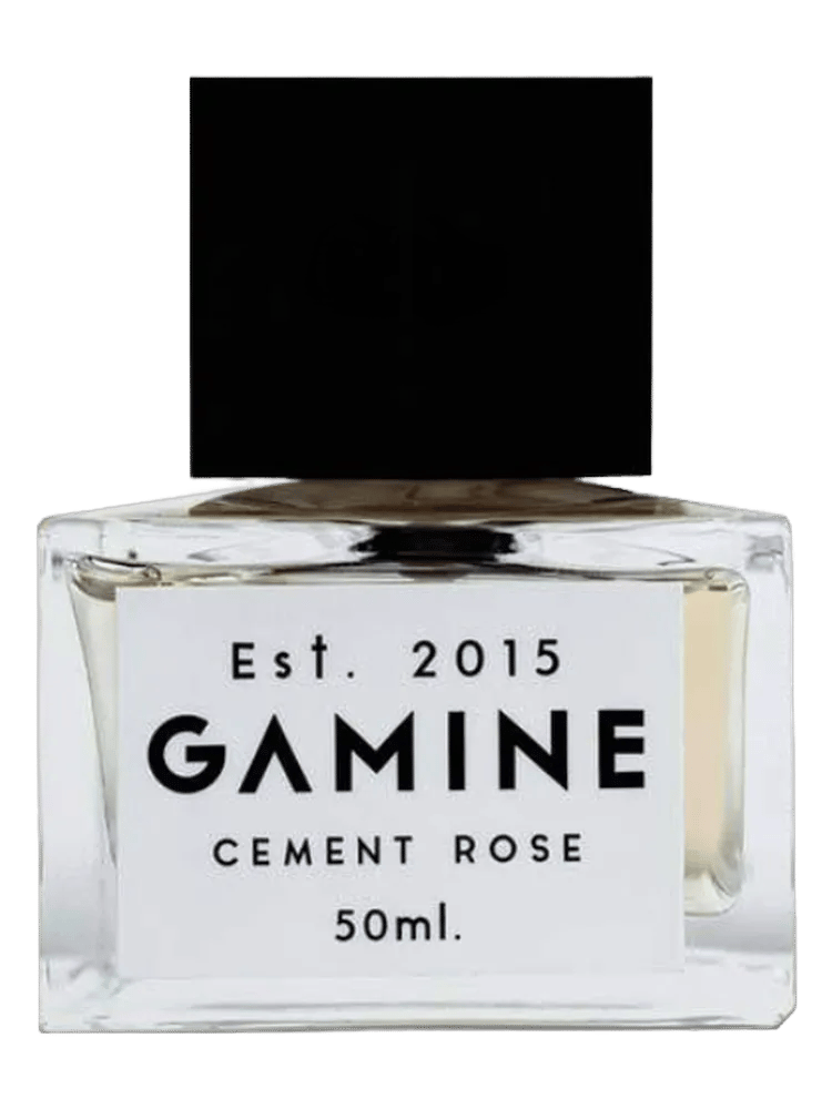Cement Rose by Gamine