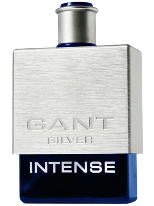 Silver Intense by Gant