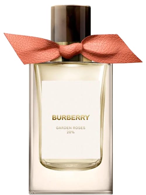 Garden Roses by Burberry