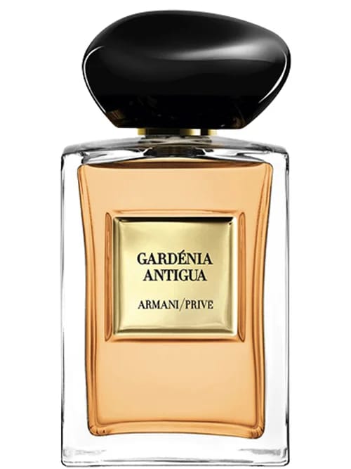 Gardénia Antigua by Armani Privé
