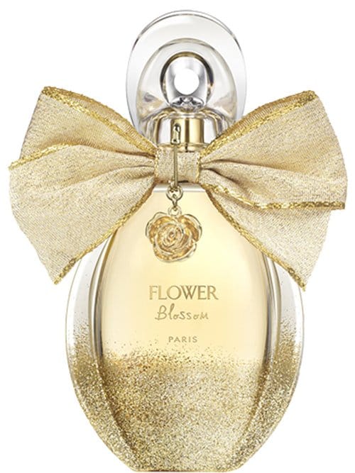 Flower Blossom by Gemina.B