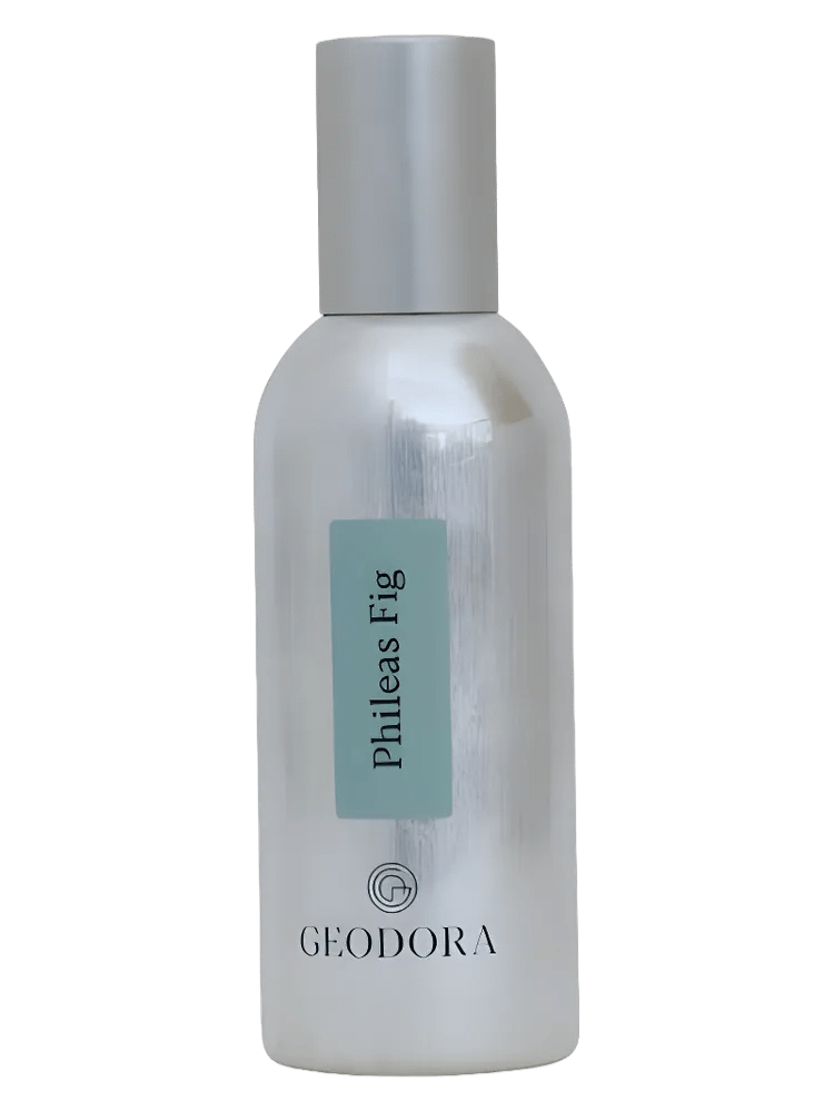 Phileas Fig by Geodora