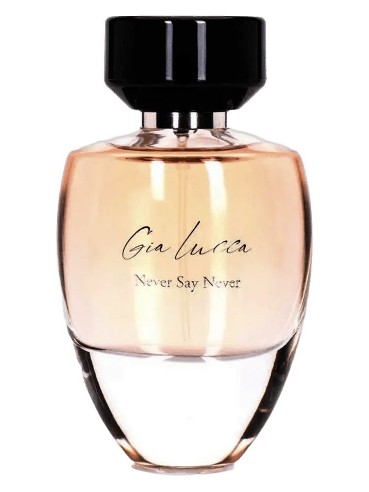 Never Say Never by Gia Lucca