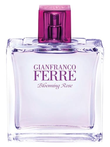 Blooming Rose by Gianfranco Ferré