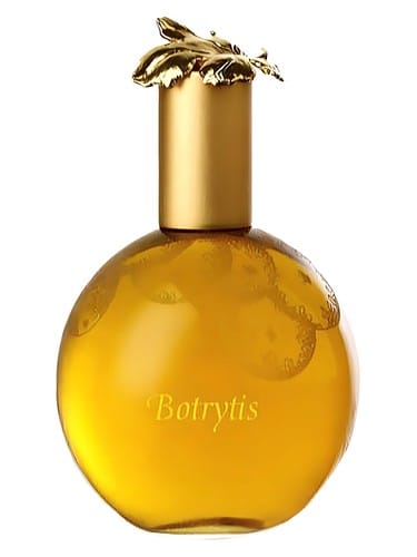 Botrytis by Ginestet