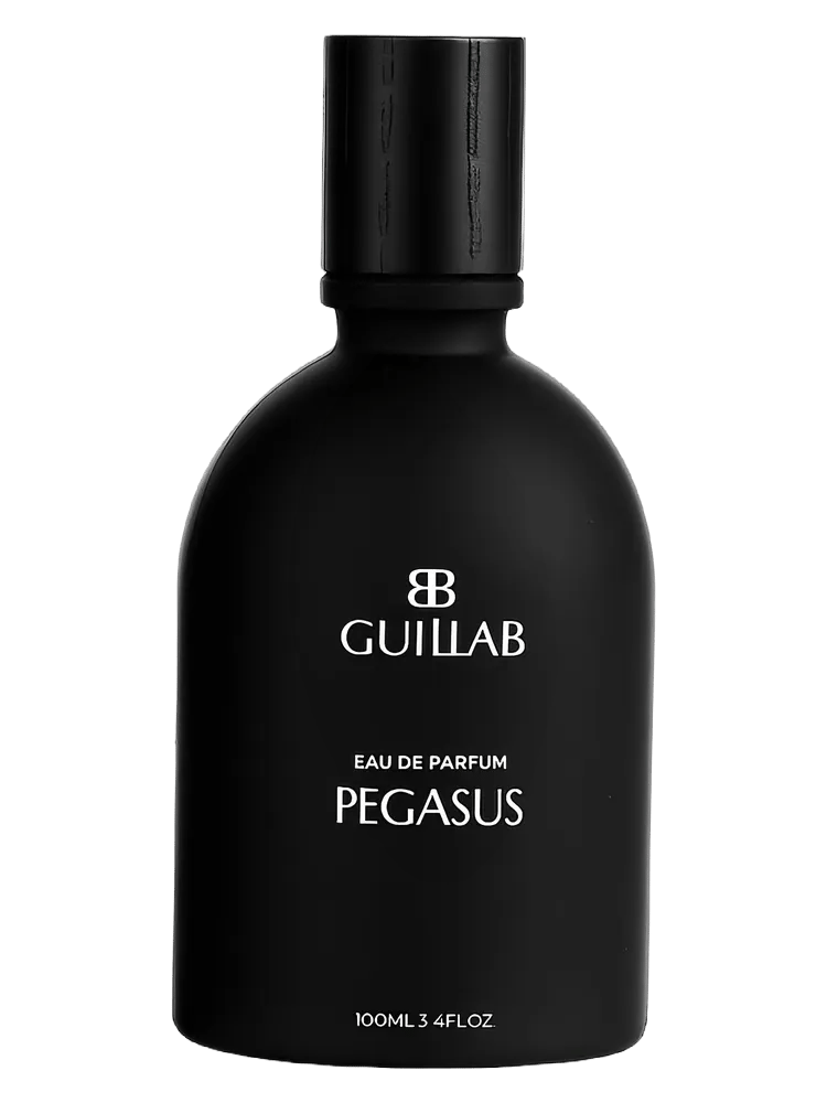 PEGASUS by Guillab