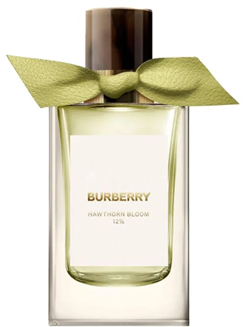 Hawthorn Bloom by Burberry