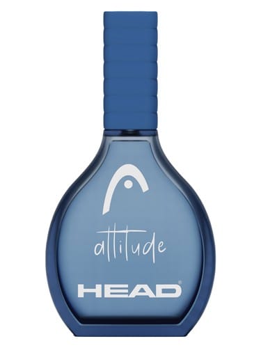 Attitude by Head