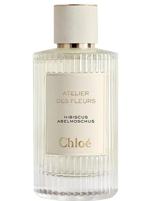 Hibiscus Abelmoschus by Chloé