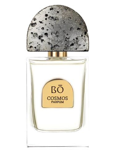 Cosmos by House Of Bo