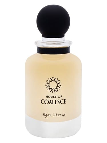 Agar Intense by House of Coalesce