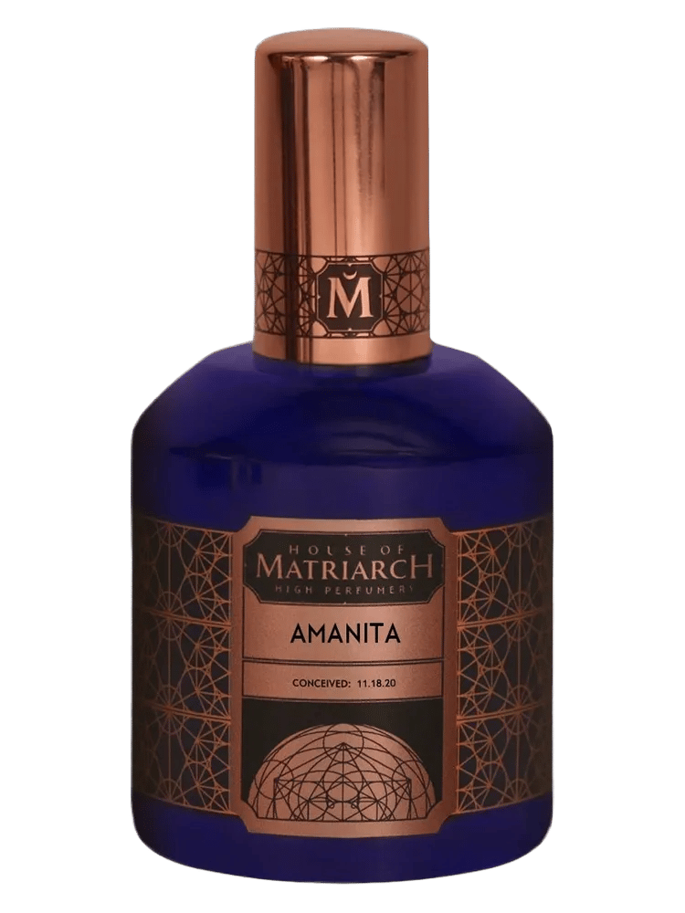 Amanita by House Of Matriarch