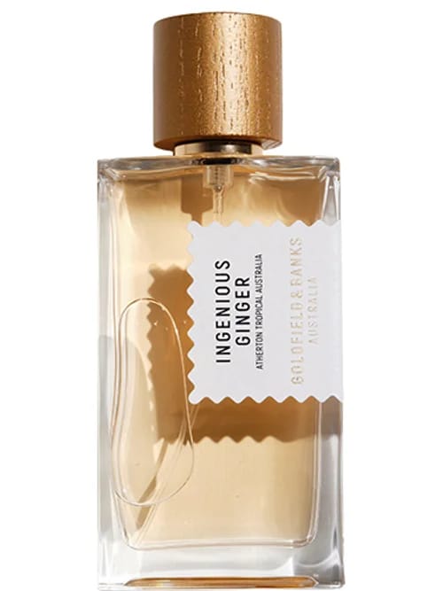 Ingenious Ginger by Goldfield & Banks