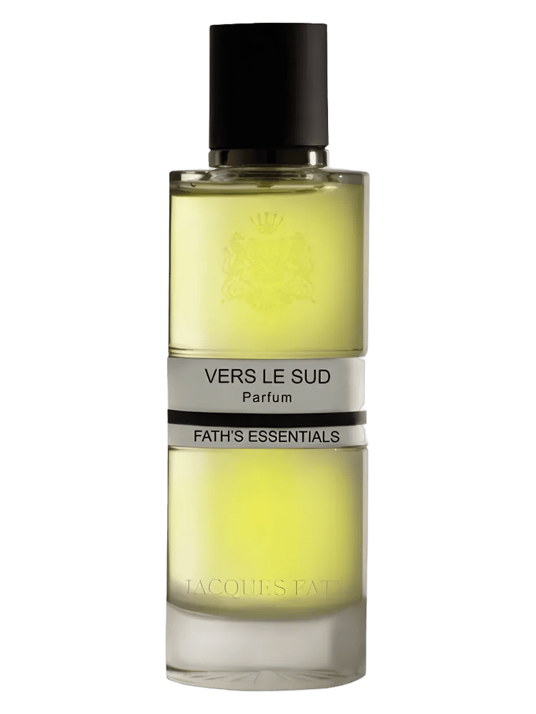 Vers Le Sud by Jacques Fath