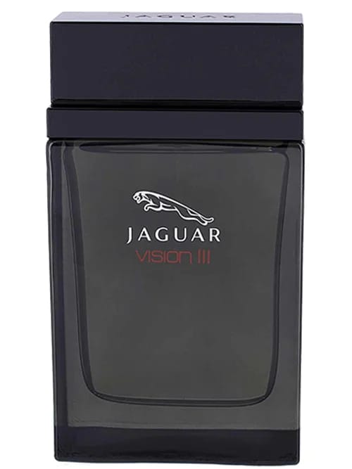 Vision III by Jaguar
