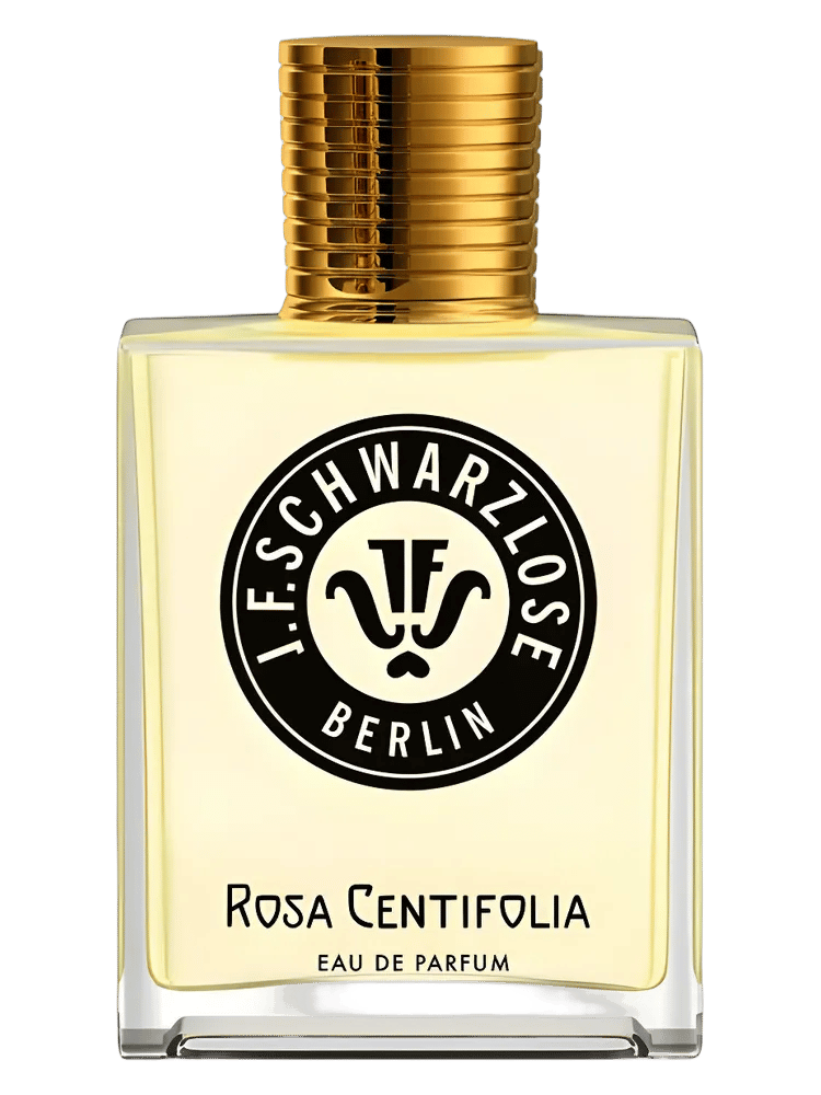 Rosa Centifolia by J.F. Schwarzlose Berlin