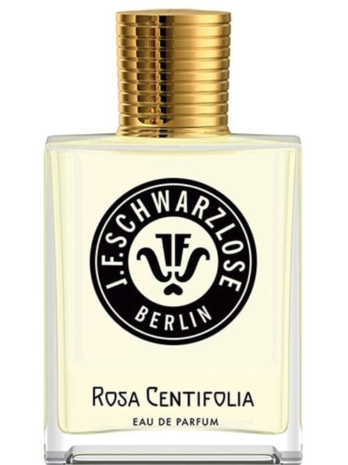 Rosa Centifolia by J.F. Schwarzlose