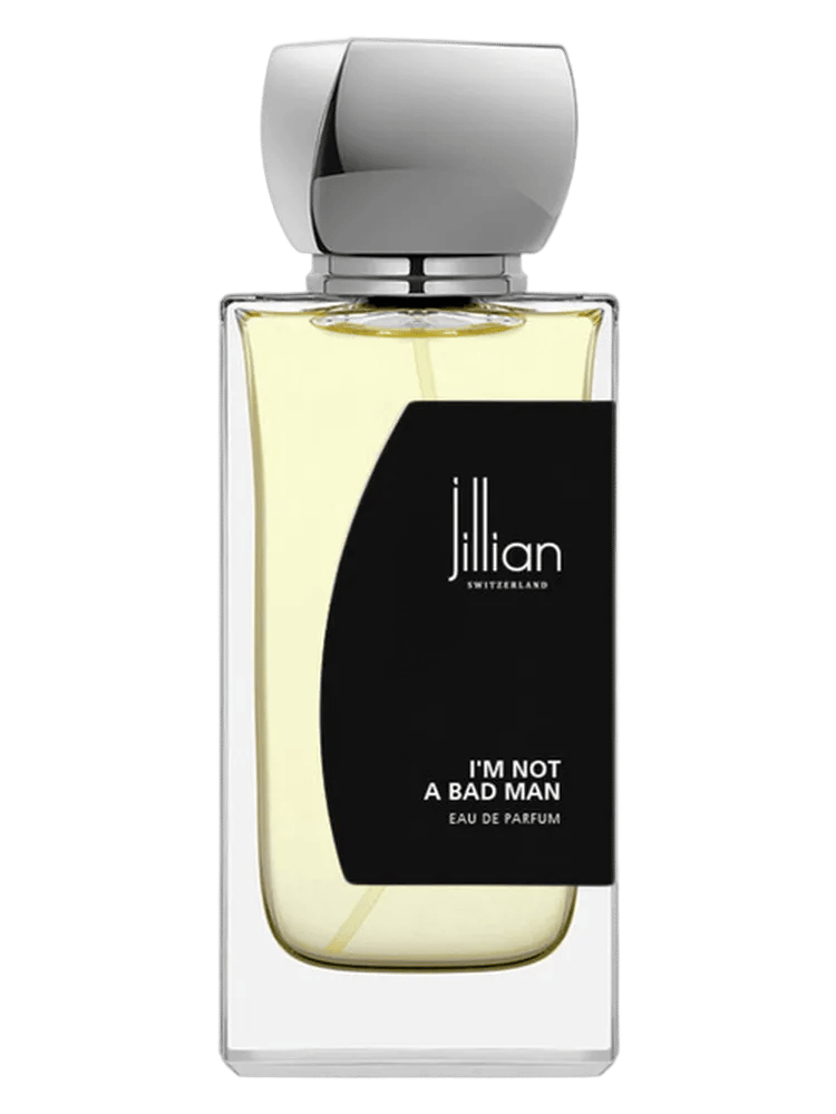 I'm Not A Bad Man by Jillian Switzerland