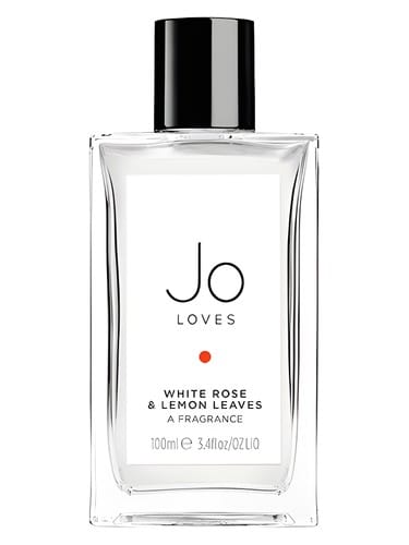 White Rose & Lemon Leaves by Jo Loves